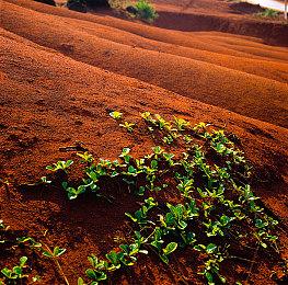 从夭折项目到Steam爆款：《PEAK》的逆袭之路